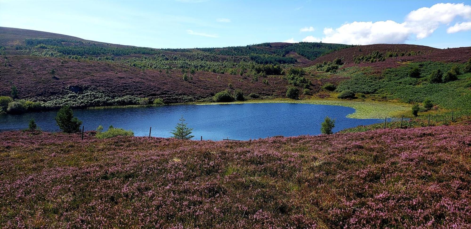 Highland Glen Lodges Rogart Exteriér fotografie