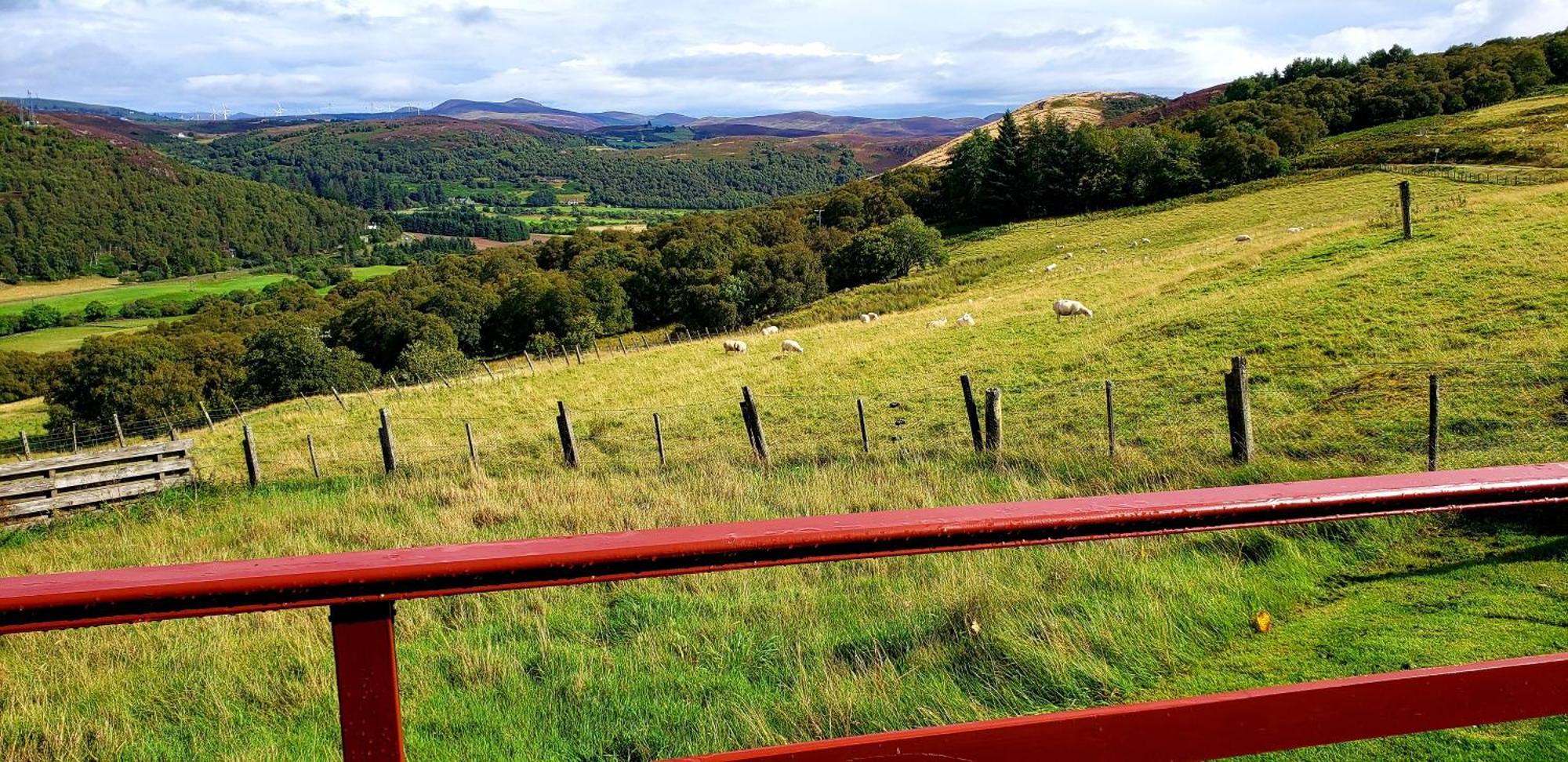 Highland Glen Lodges Rogart Exteriér fotografie